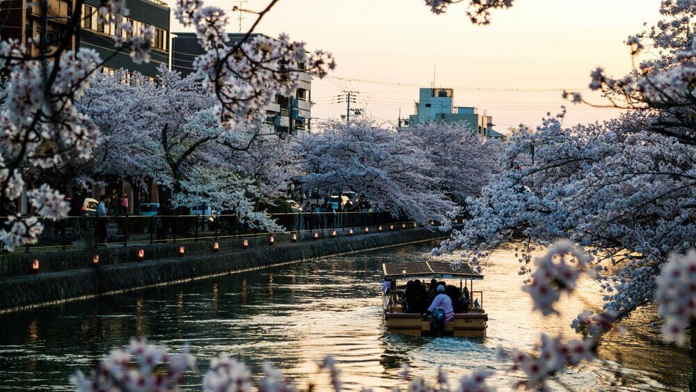 Japan By Sea with The Ritz-Carlton Yacht Collection